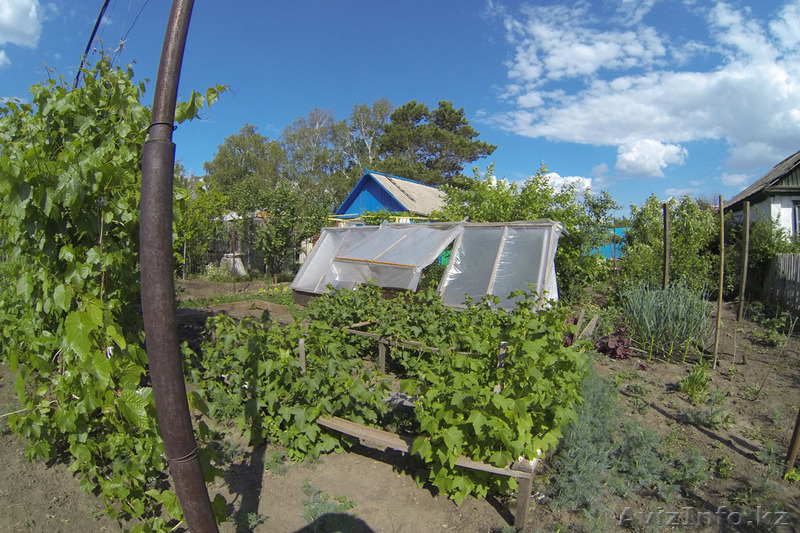 Продам два дачных участка - Изображение #4, Объявление #923021