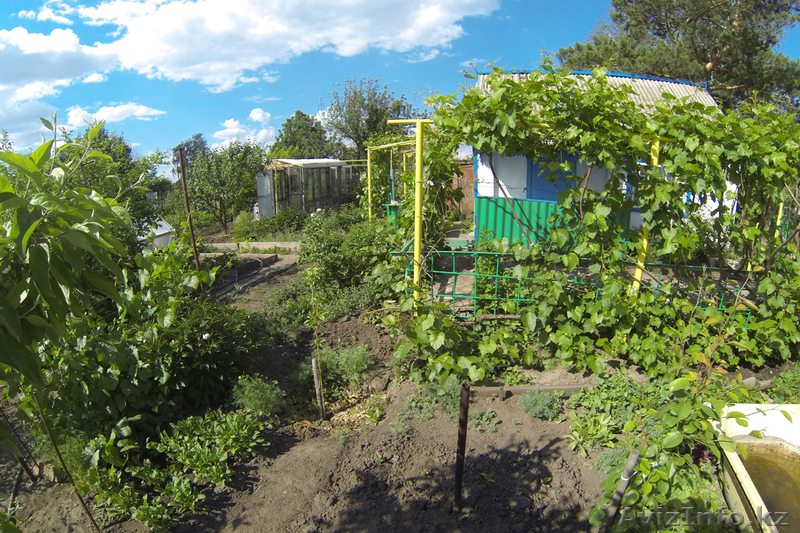 Продам два дачных участка - Изображение #5, Объявление #923021