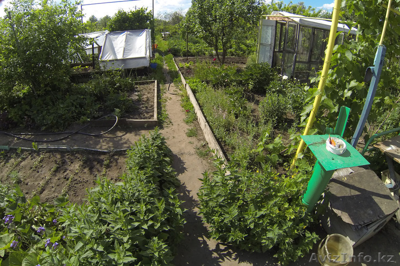 Продам два дачных участка - Изображение #6, Объявление #923021