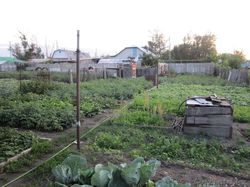 Продаю дом в Затобольске(5 км от Костаная) - Изображение #4, Объявление #930347