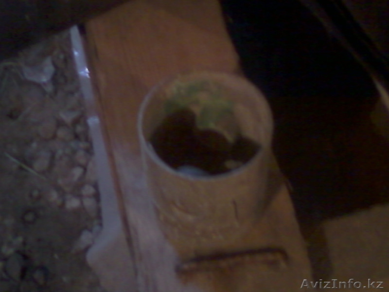 Поршня на Газ-52 ,размер 83.5 мм - Изображение #3, Объявление #1093874