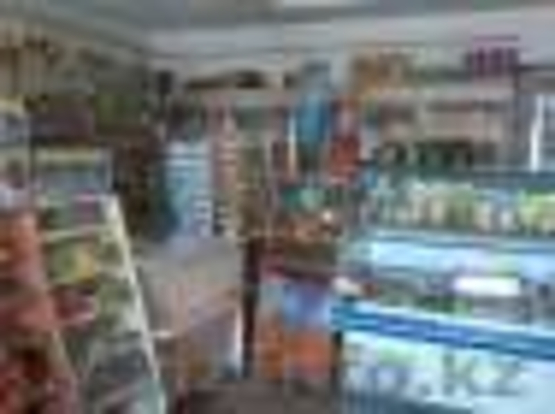 магазин "Диво", с.Заречное. Подходит под любой бизнес. - Изображение #5, Объявление #1138380