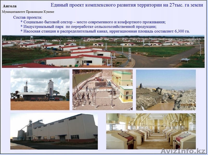 Строительство тепличных комплексoв.  - Изображение #1, Объявление #1157699