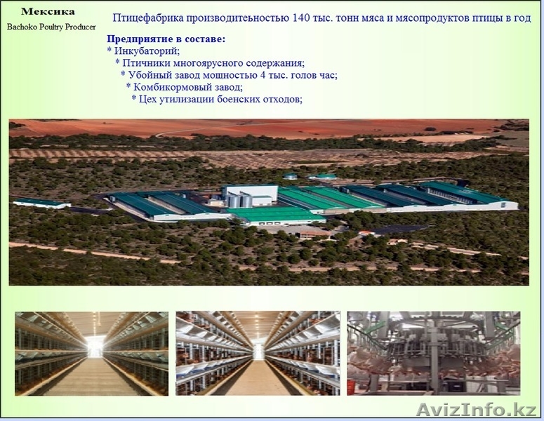 Строительство тепличных комплексoв.  - Изображение #2, Объявление #1157699