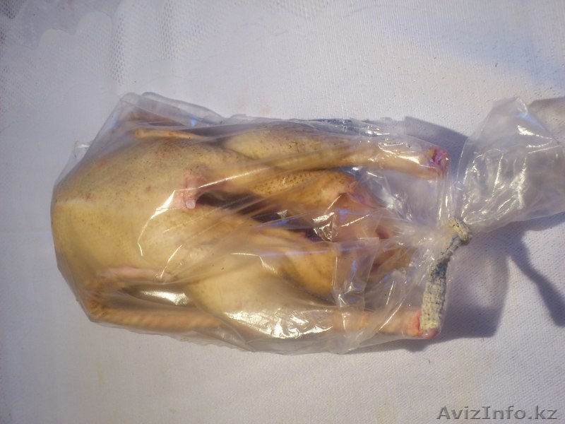 Мясо фермерского ГУСЯ - Изображение #2, Объявление #1188756