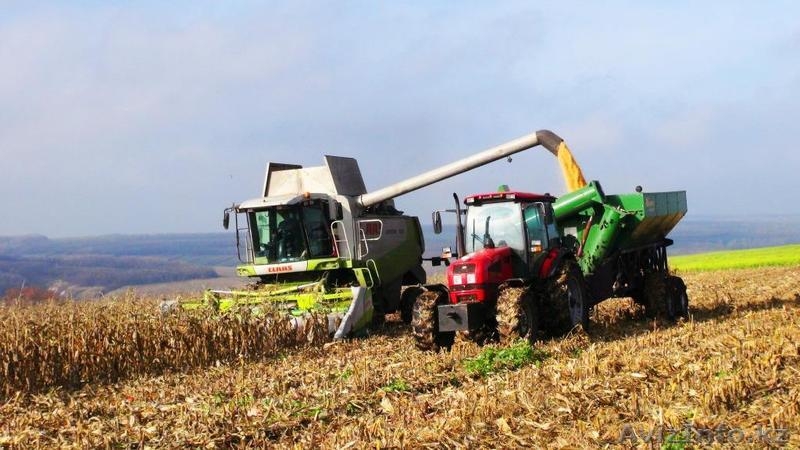 Распродажа имущества КХ (крестьянского хозяйства) - Изображение #2, Объявление #1203354