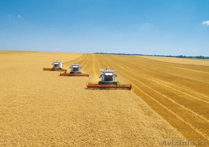 Распродажа имущества КХ (крестьянского хозяйства) - Изображение #3, Объявление #1203354