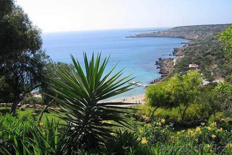 Внимание! Новинка!!! Курсы английского языка на Кипре!!! - Изображение #1, Объявление #1268846