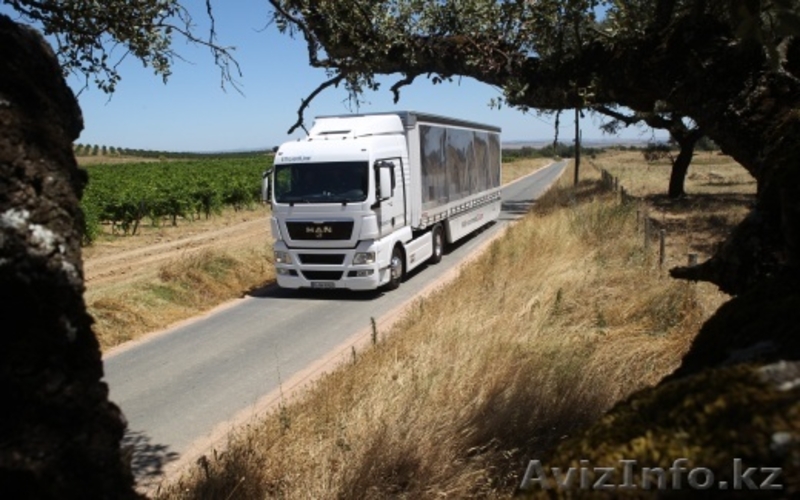 Перевозки сельскохозяйственной продукции в EU - Изображение #6, Объявление #1423128