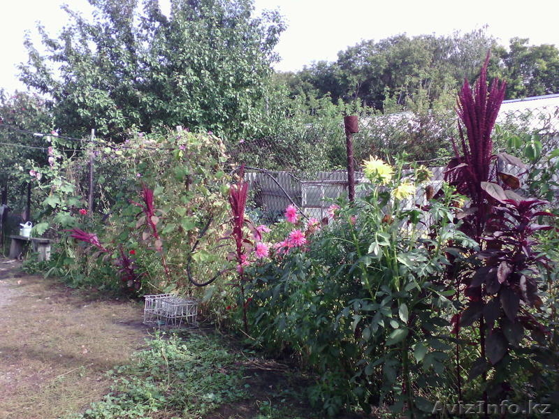 Продам квартиру в п. Боровское  - Изображение #3, Объявление #1526499