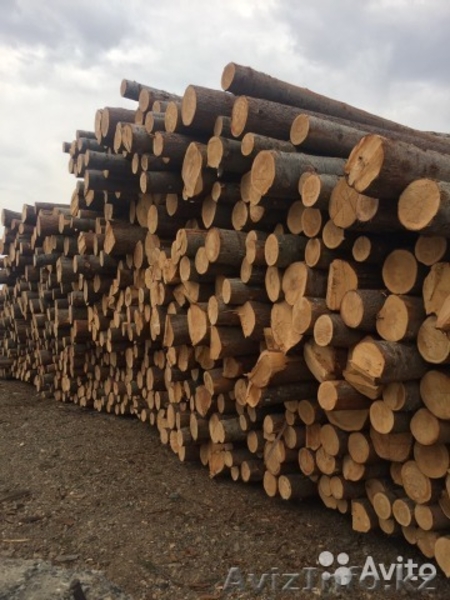 Лес.Пиломатериалы - Изображение #1, Объявление #1610308