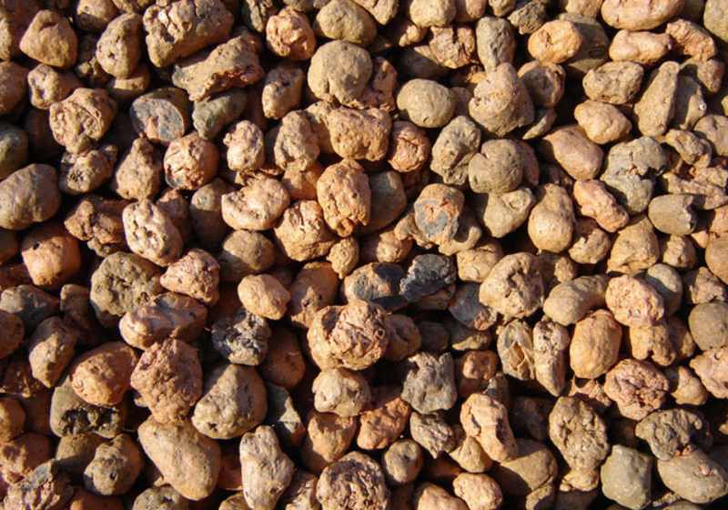 ПРОДАМ КЕРАМЗИТ в мешках и биг-бэгах - Изображение #1, Объявление #1656126