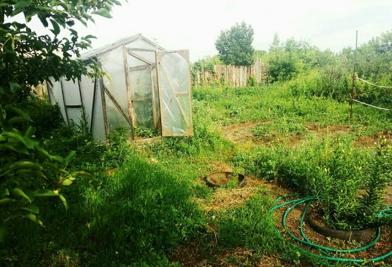 Продается двухэтажный дом в Боровском (Мендыкаринский район) - Изображение #10, Объявление #1661438