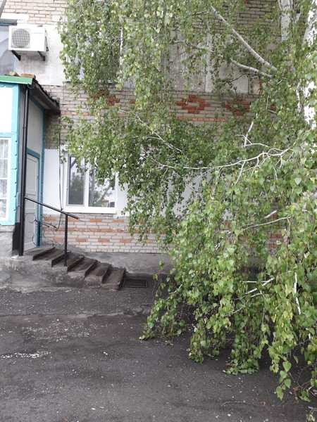 Продам благоустроенную 3-комнатную квартиру в с.Боровское (Мендыкаринский р-н) - Изображение #8, Объявление #1684247