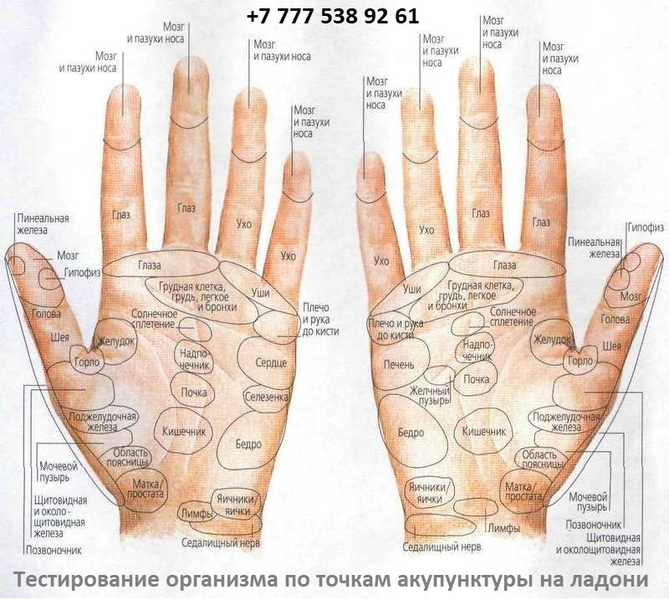 Диагностика организма за 15 минут - Изображение #1, Объявление #1718763