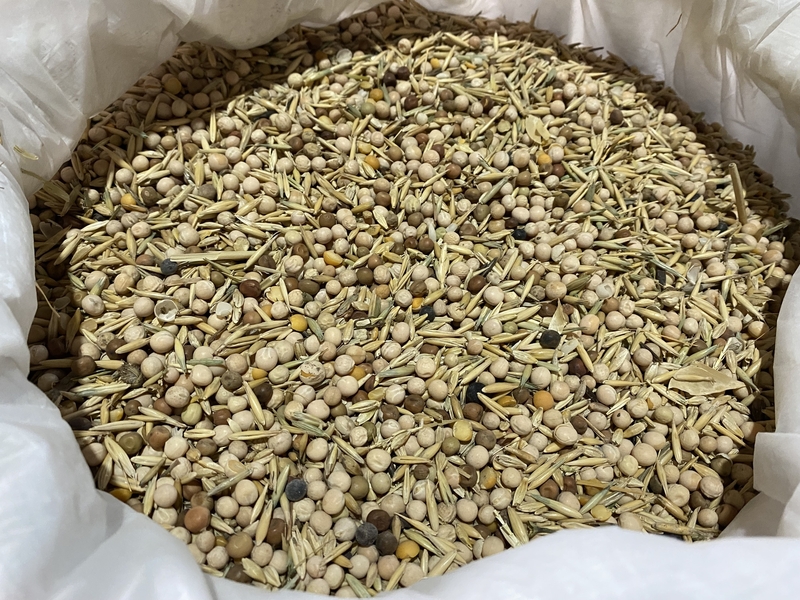 Зерносмесь (горох, ячмень, овёс, пшеница) - Изображение #1, Объявление #1724306